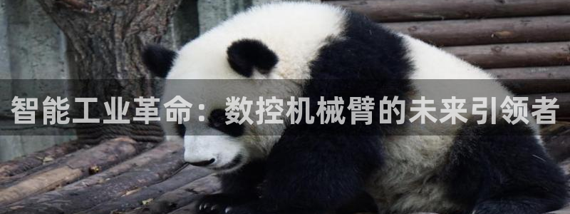 天辰娱乐平台登录账号