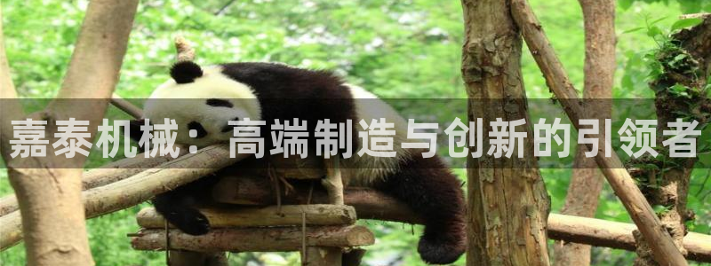 天辰辰娱乐代理