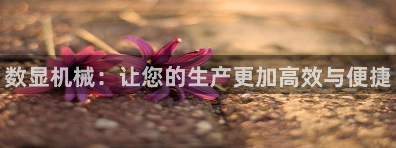 天辰娱乐网址娱乐游戏