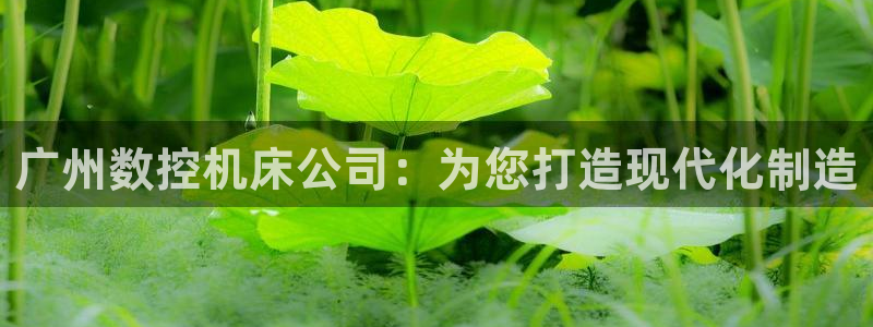 天辰娱乐测试：广州数控机床公司：为您打造现代化制造