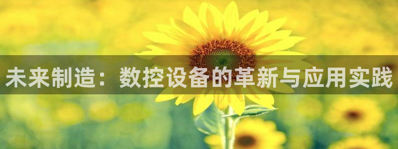 辰天娱乐用品：未来制造：数控设备的革新与应用实践